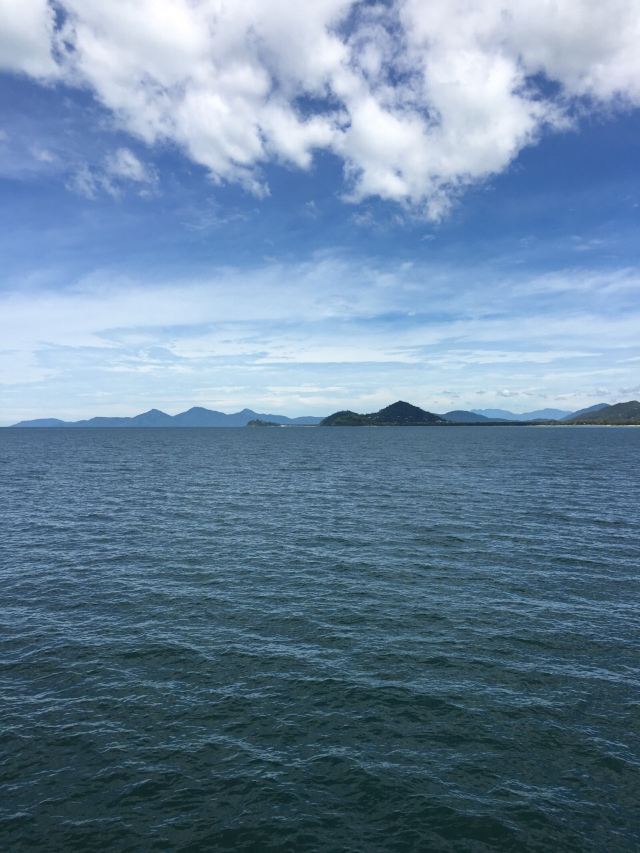 Palm Cove