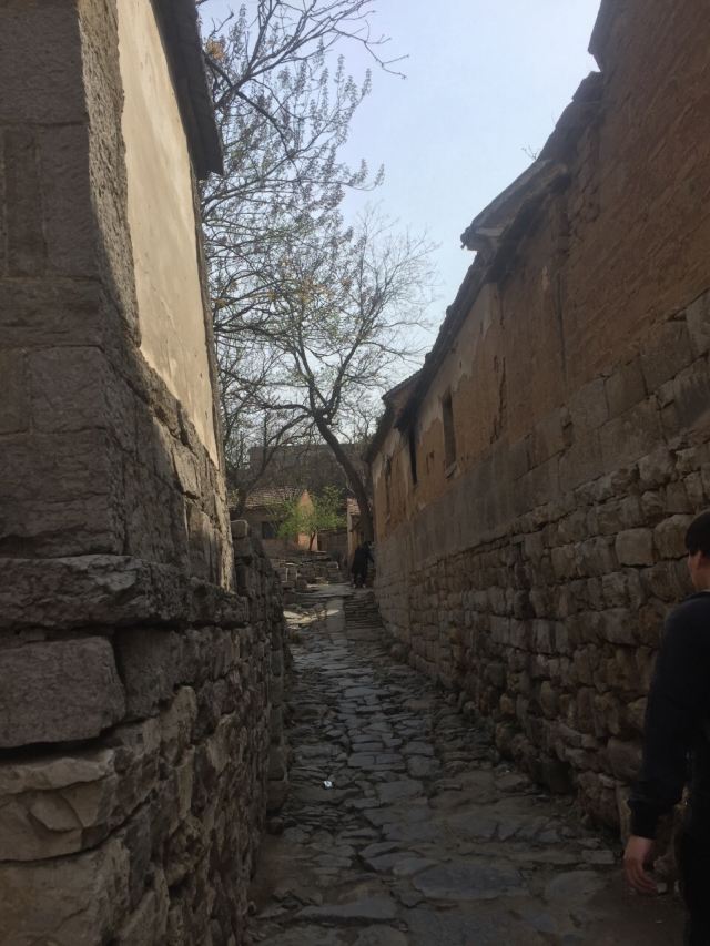 주자위