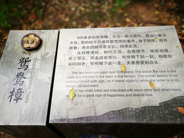 팡자허터우춘