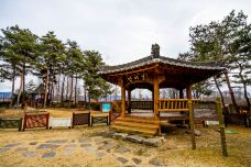 江原道立花木园-春川市-doris圈圈