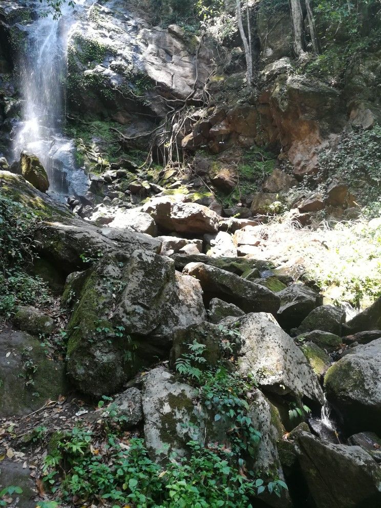 勐海的勐遮也有很不错的瀑布！