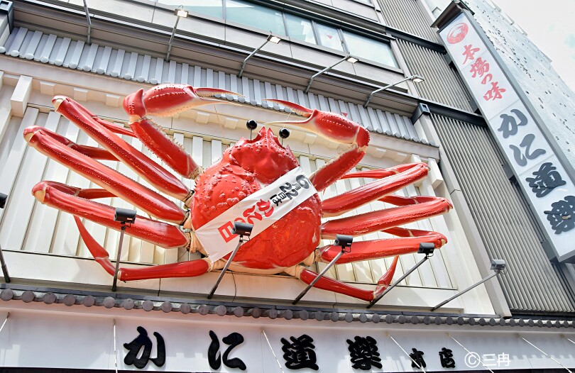 #冬日幸福感美食#给你一个帝皇蟹，你知道该怎么吃么？