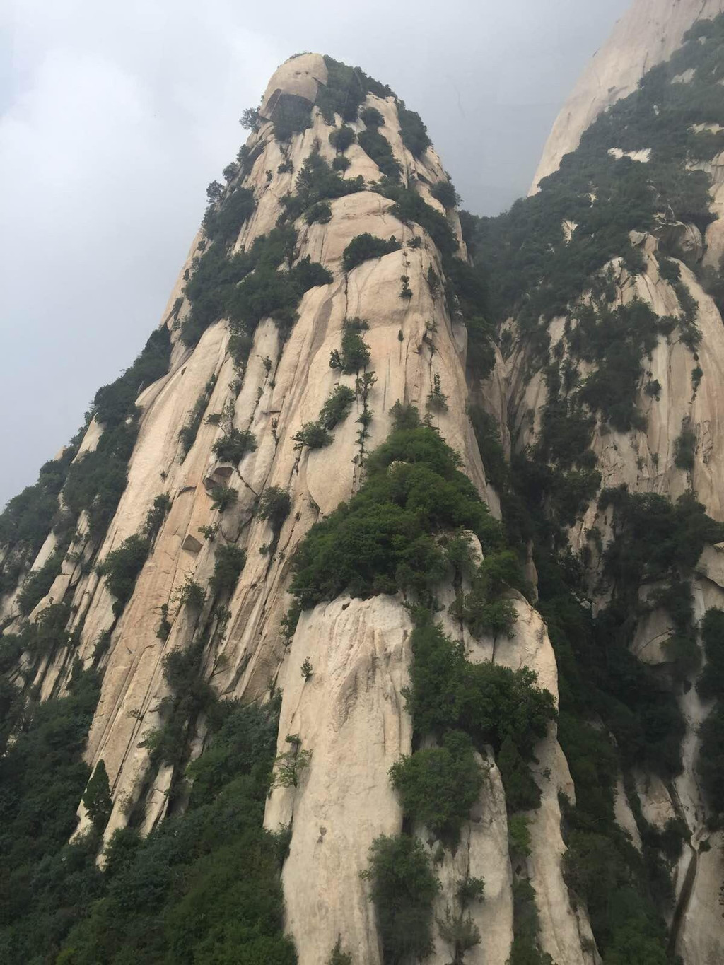 華山,我們報的是當地的團,賓館老闆給我們聯繫的,(西安的旅行社信譽度