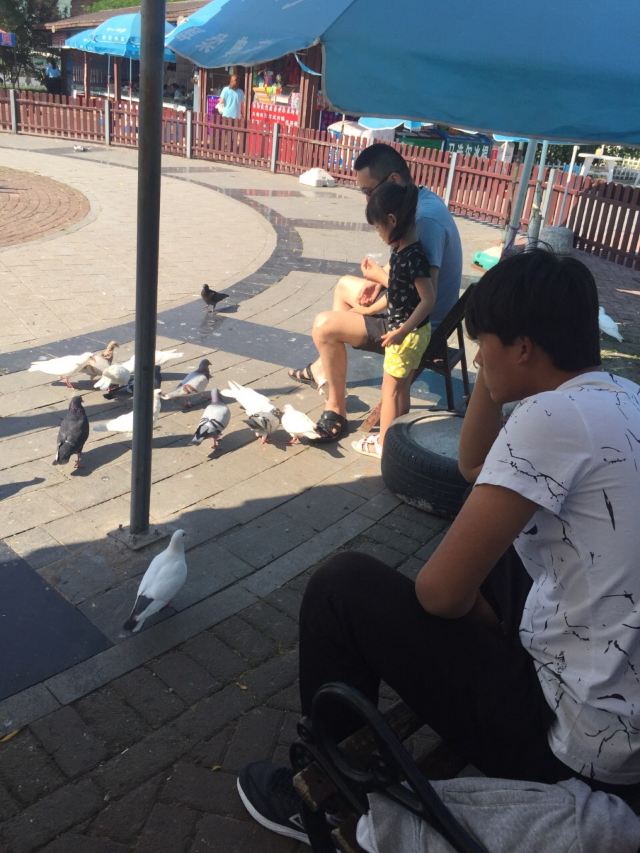 Pigeon Nest Park