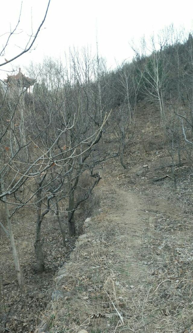 Shilin Gorge
