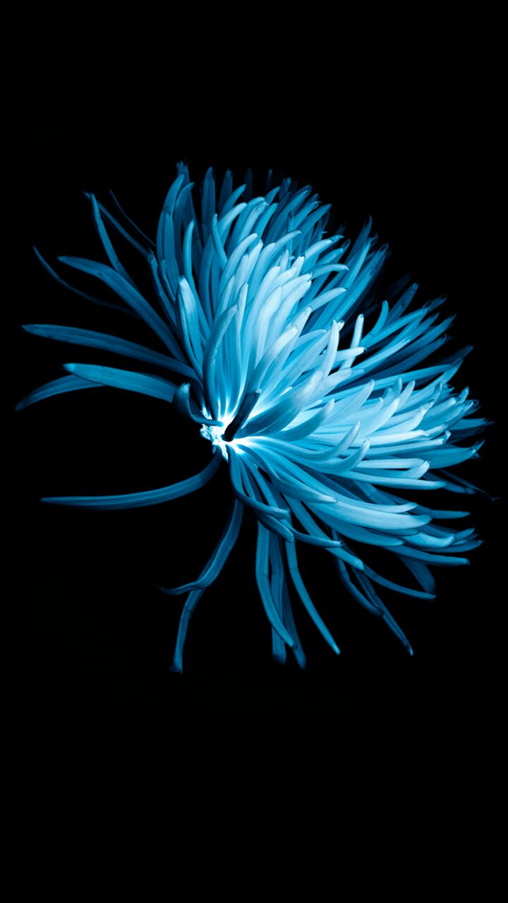 阿里烧烤(朝阳南街店)餐厅图片