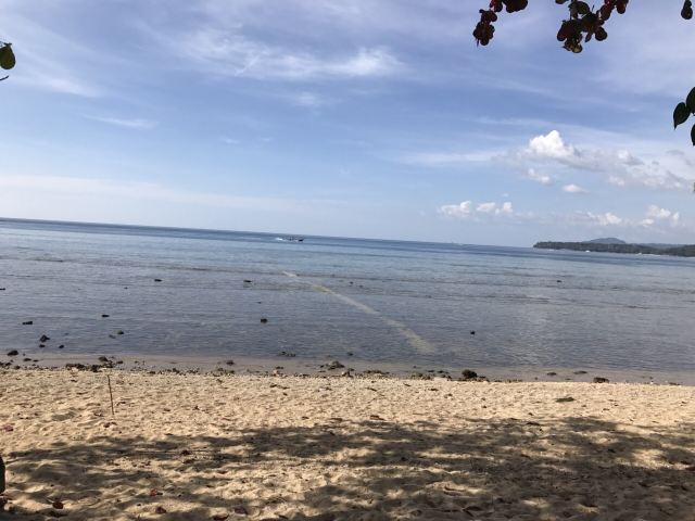 Kamala Beach