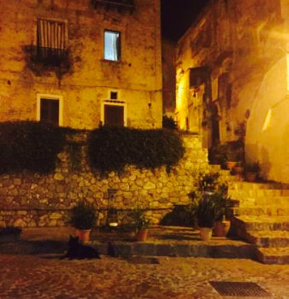 Ristorante Tari餐厅图片