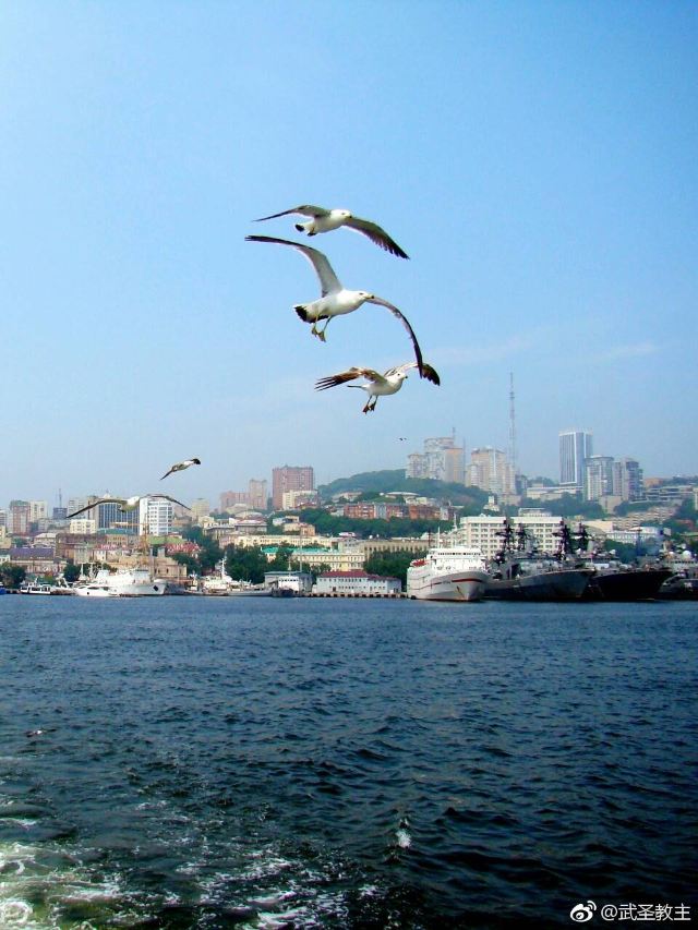 금각만