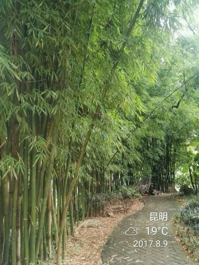 헤이룽탄 공원