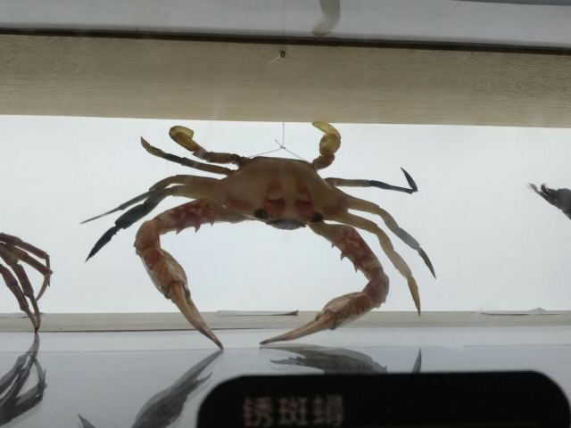 칭다오 해저세계