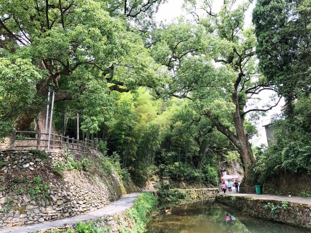 芹川村