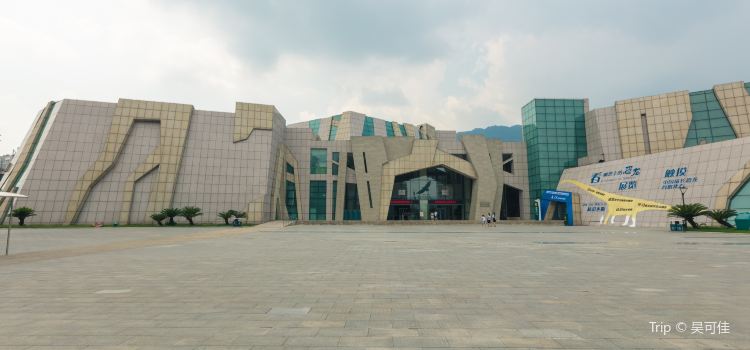 Chongqing Museum Of Natural History New Hall Tickets - 