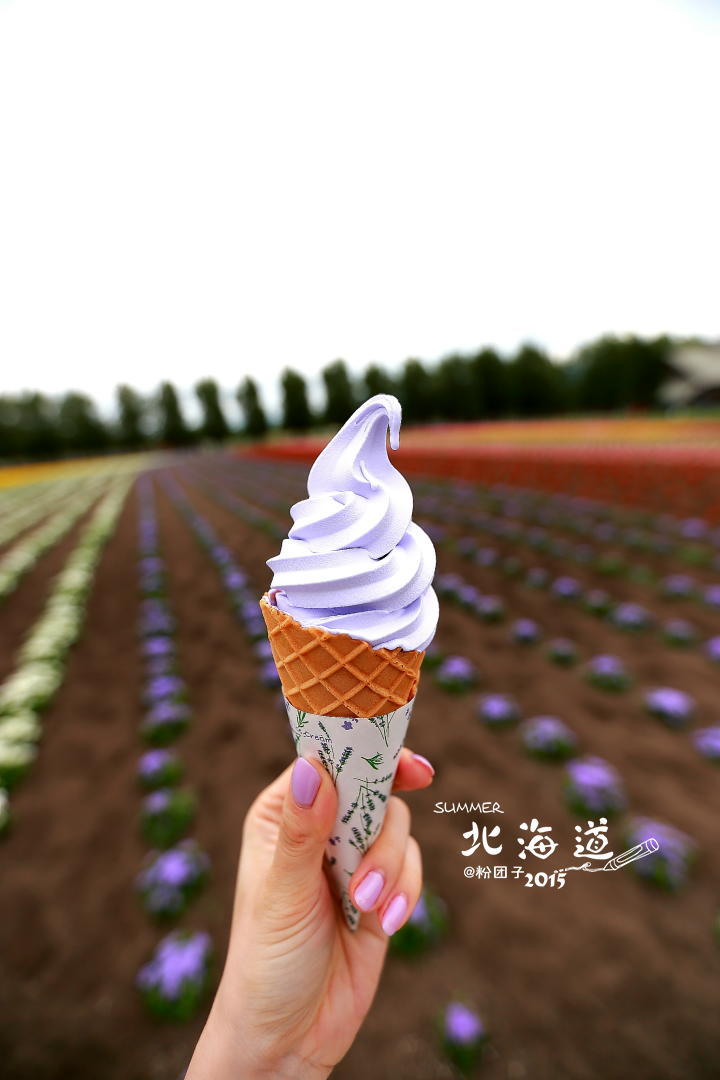 啃一个只有夏天北海道才有的薰衣草冰淇淋