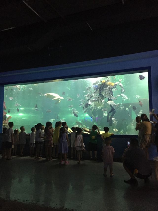 Nanchong Polar Ocean World