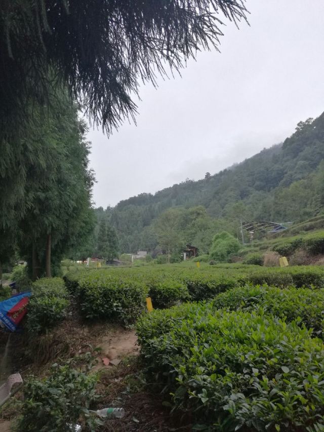 몽정산