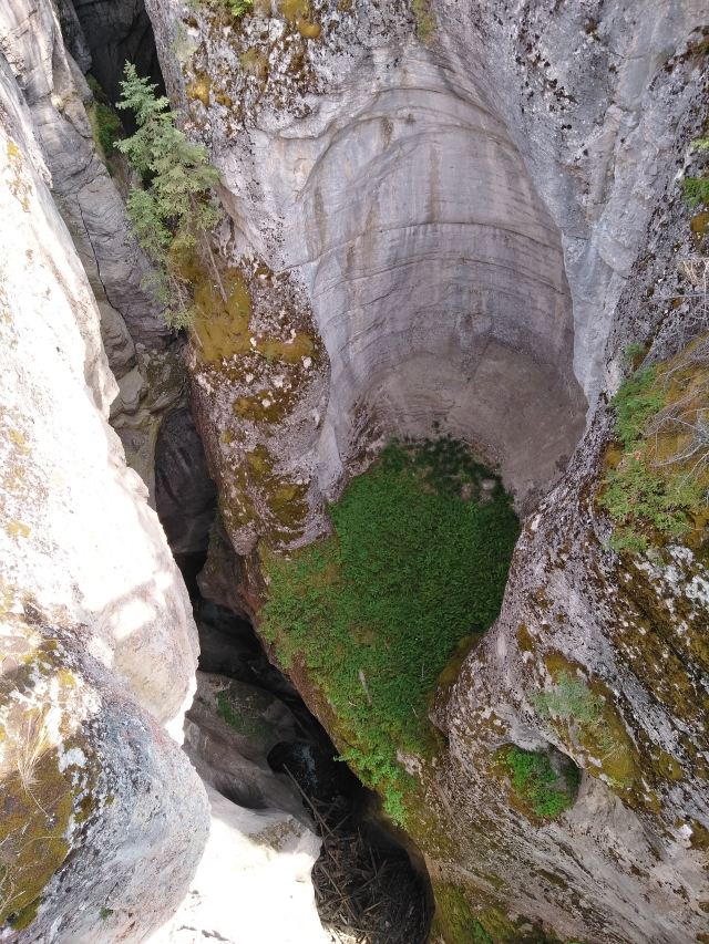 Maligne Canyon