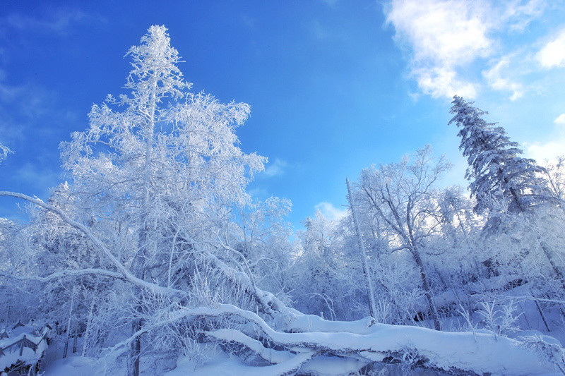 黑龙江的冰雪仙境,让摄影师惊艳,外星人惊叹
