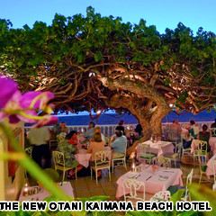 Hau Tree Lanai