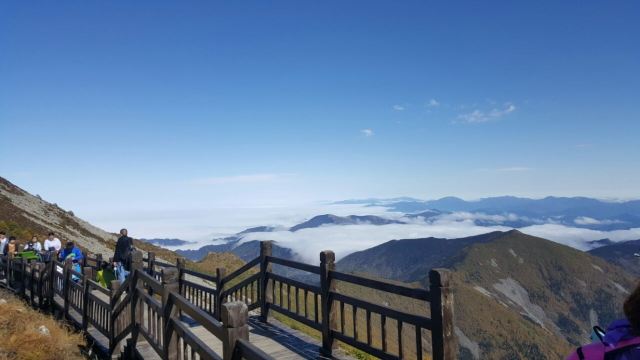 太白山國家森林公園