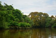 克里亚斯湿地景点图片