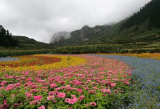 翠峰山景点图片