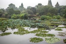 杭州西湖风景名胜区杭州花圃-杭州-doris圈圈