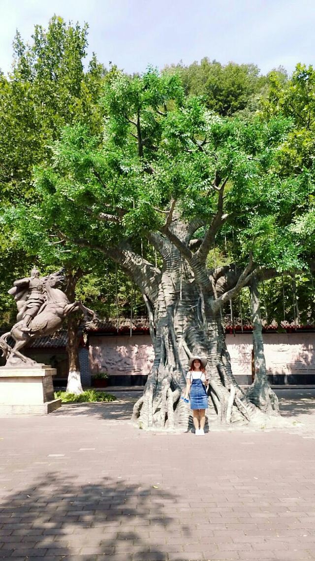 Hanzhong Shimen Catwalk Scenic Area