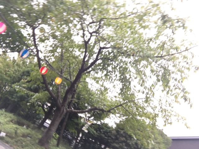 오에도온센 모노가타리