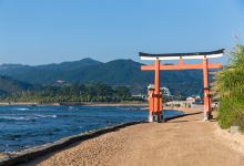 青岛神社景点图片