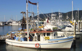 Prawn Star
