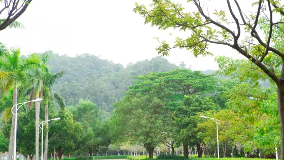 南沙濱海公園