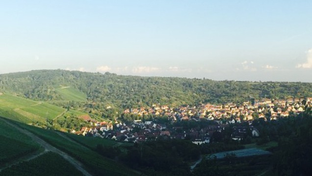 Rotenberger Weingaertle