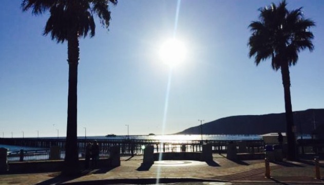 Hula Hut & Doc Burnstein's Ice Cream餐厅图片