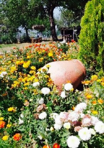 Ballica Kir Lokantasi