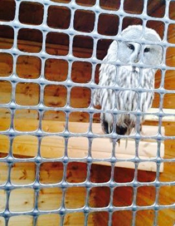 Johnsons Garden Centre餐厅图片