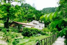 Ristorante alle Grotte da Nereo美食图片