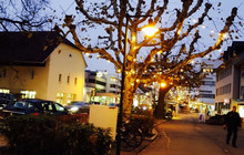 Wirtshaus zum Schlussel餐厅图片