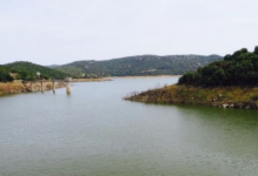 Il Mirto美食图片