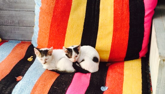 Les Planches Essaouira餐厅图片