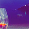 Havana Beach Club