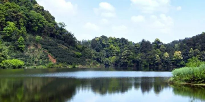 蒲江縣朝陽湖白鷺生態自然保護區