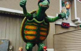 Dirty Turtle