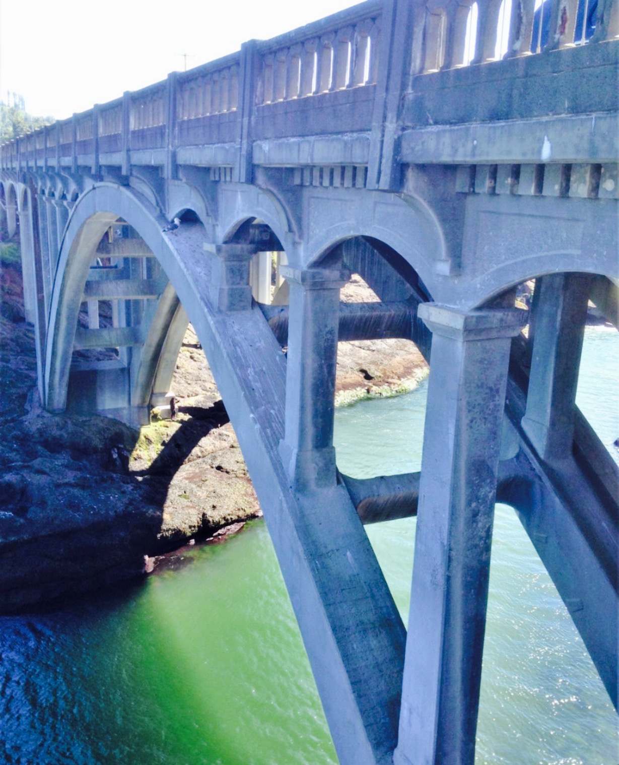 Gracie's Sea Hag餐厅图片