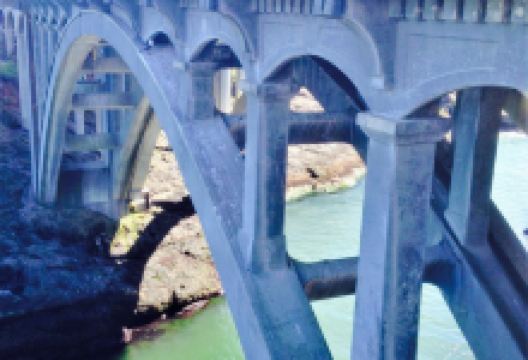 Gracie's Sea Hag美食图片