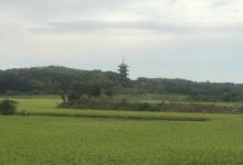Tonooka Chaya美食图片