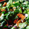 Applebee's
