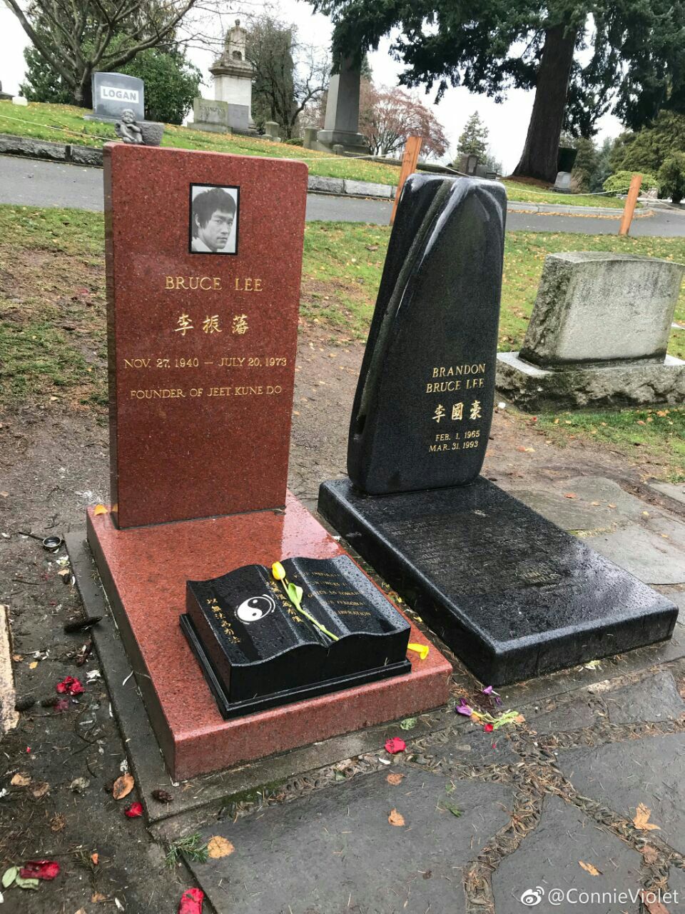 brandon lee and bruce lee's grave site