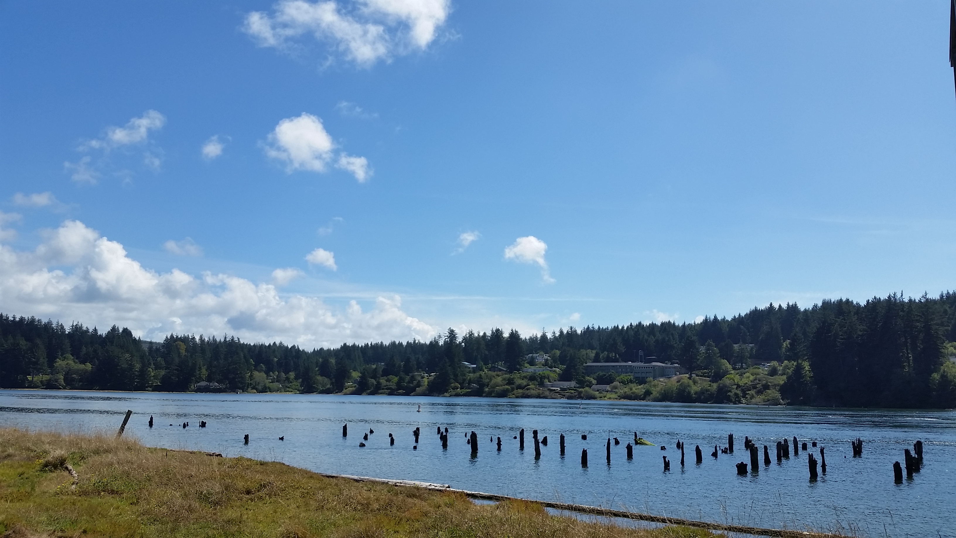 River Roasters餐厅图片