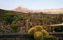 Jardin de Cactus Restaurant餐厅图片